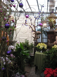 Angels Paradise, Laguna Nursery